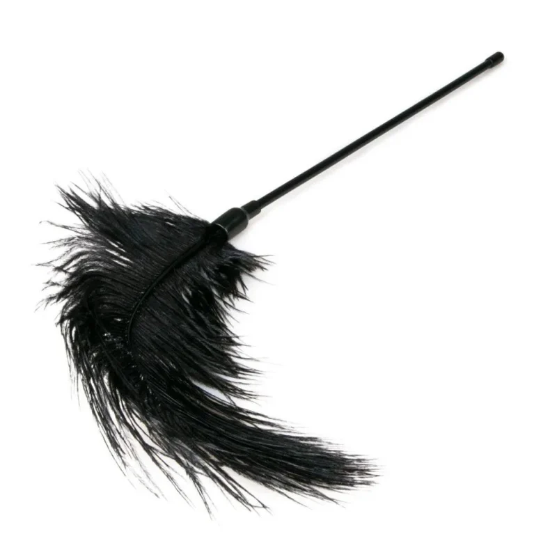 black feather tickler for playful moments