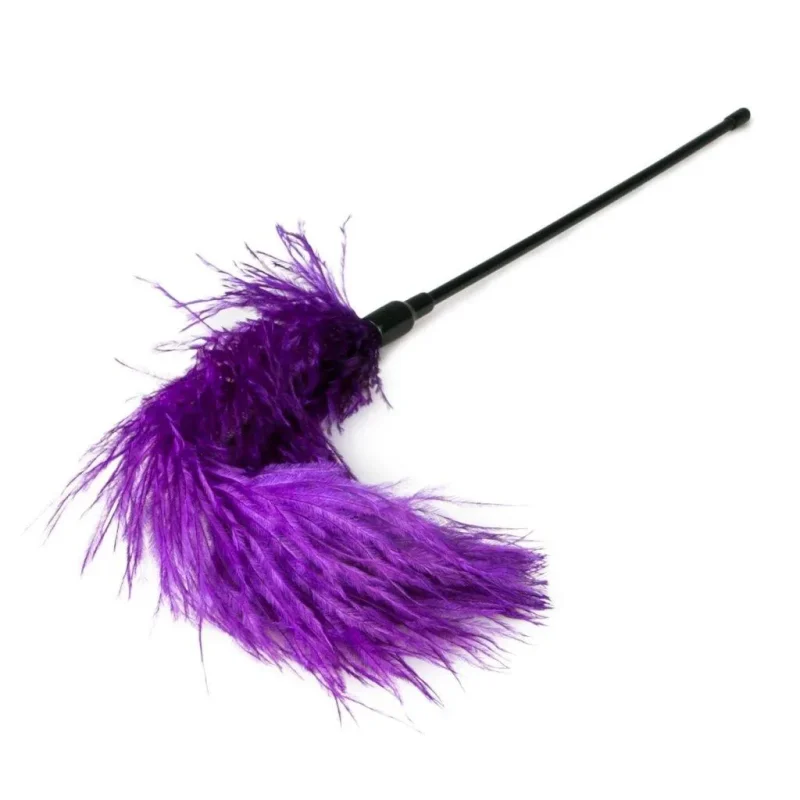 purple feather tickler for playful fun