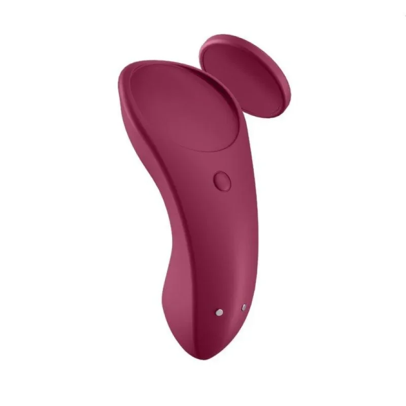 satisfyer secret panty vibe for intimate moments